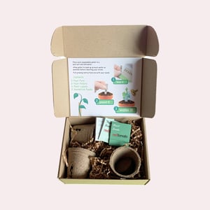 Seedsticks growbox